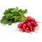 Rote Rosen zum Binden
