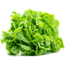 Grüner Salat pro Gericht