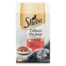 Sheba DÃƒÂ©lices Du Jour selectii suculente in sos pentru pisici adulte 6 x 50 g