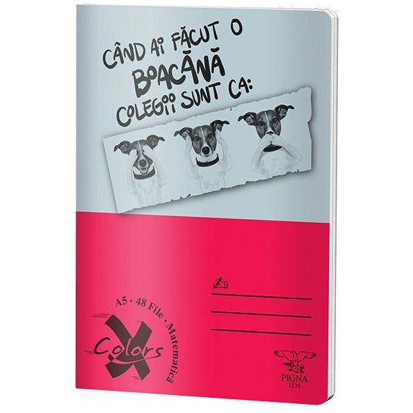 Pigna Caiet matematica A5, 48 file, Basic